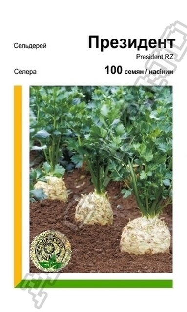 Селера Президент - 100 насіння А (Rijk Zwaan) Селера Президент - 100 насіння А (Rijk Zwaan)
