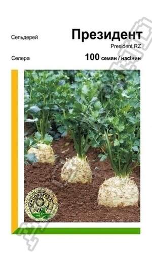 Селера Президент - 100 насіння А (Rijk Zwaan) Селера Президент - 100 насіння А (Rijk Zwaan)