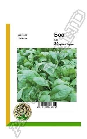Шпинат Боа - 20 г А (Rijk Zwaan) Шпинат Боа - 20 г А (Rijk Zwaan)