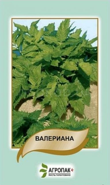 Валеріана - 0,1 грам А Валеріана - 0,1 грам А
