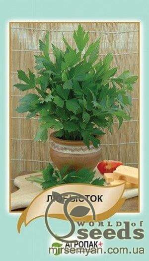 Любисток аптечний - 0,1 г Любисток аптечний - 0,1 г