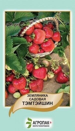 Суниця садова Темтейшин - 50 насінин А