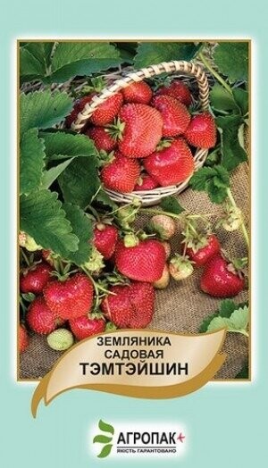 Суниця садова Темтейшин - 50 насінин А Суниця садова Темтейшин - 50 насінин А