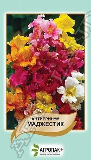 Антирринум (Левовий зів) Маджестик - 0,2 грама А Антирринум (Левовий зів) Маджестик - 0,2 грама А