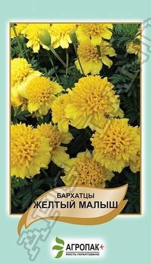Чорнобривці відхилені Жовтий малюк - 0,5 грам А Чорнобривці відхилені Жовтий малюк - 0,5 грам А