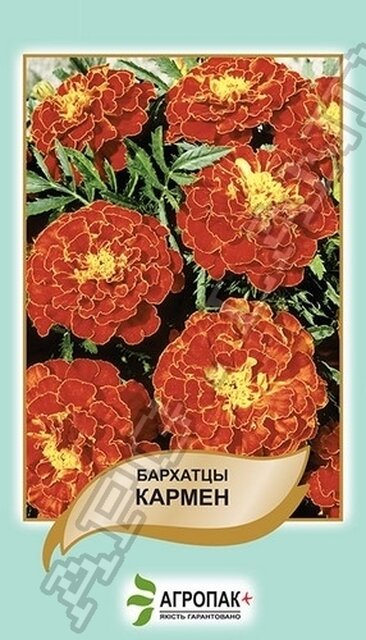 Чорнобривці відхилені Кармен - 0,5 грам А Чорнобривці відхилені Кармен - 0,5 грам А