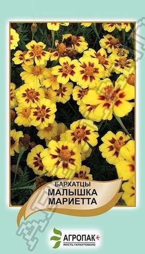 Чорнобривці відхилені Малятко Марієтта - 0,5 грам А