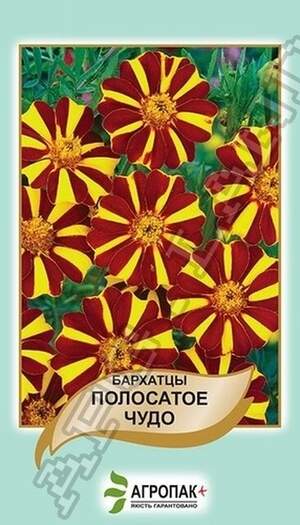 Чорнобривці відхилені Смугасте диво - 0,5 грам