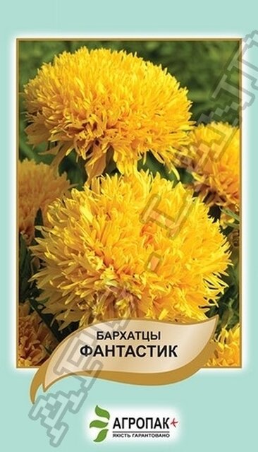 Чорнобривці прямостоячі Фантастик золотистожовті - 0,2 грама А Чорнобривці прямостоячі Фантастик золотистожовті - 0,2 грама А