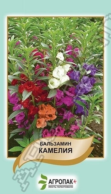 Бальзамін садовий Камелія - 0,5 г Бальзамін садовий Камелія - 0,5 г