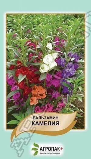 Бальзамін садовий Камелія - ​​0,5 г