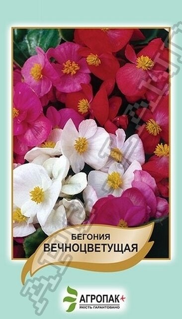 Бегонія вічноквітуча, суміш - 0,01 г Бегонія вічноквітуча, суміш - 0,01 г