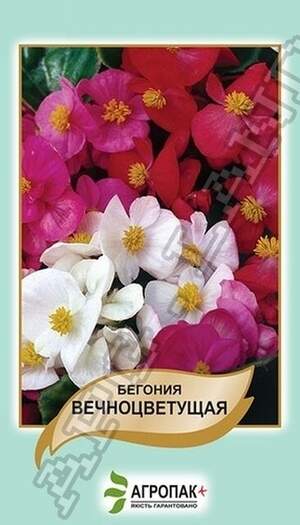 Бегонія вічноквітуча, суміш - 0,01 г