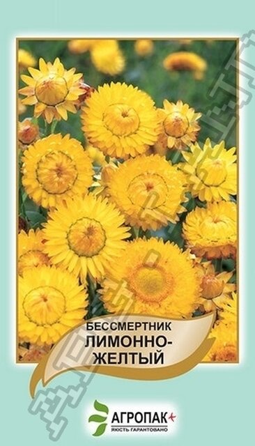 Безсмертник Лимонно-жовтий – 0,2 грама А Безсмертник Лимонно-жовтий – 0,2 грама А