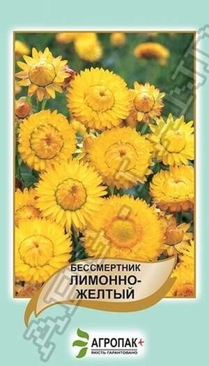 Безсмертник Лимонно-жовтий – 0,2 грама А Безсмертник Лимонно-жовтий – 0,2 грама А