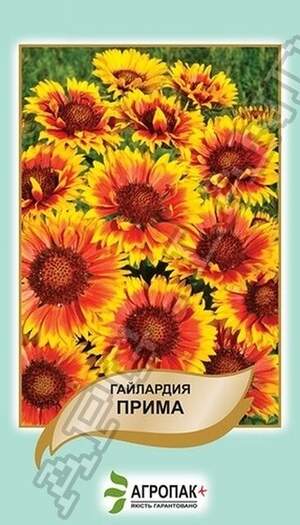 Гайлардія Пріма - 0,1 грам Гайлардія Пріма - 0,1 грам