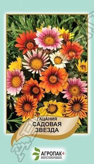 Гацанія Садова зірка, суміш – 0,2 грама А Гацанія Садова зірка, суміш – 0,2 грама А