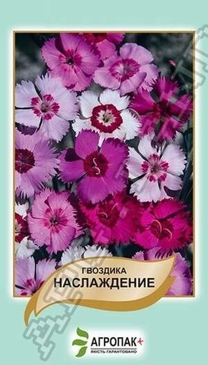 Гвоздика периста Насолода - 0,05 грам Гвоздика периста Насолода - 0,05 грам