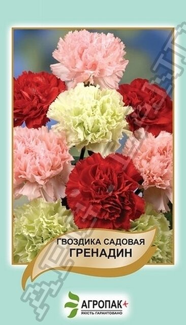 Гвоздика садова Гренадин, суміш - 0,2 грами Гвоздика садова Гренадин, суміш - 0,2 грами