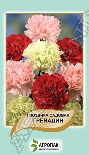 Гвоздика садова Гренадин, суміш - 0,2 грами