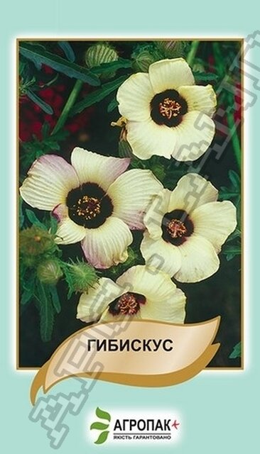 Гібіскус - 0,5 г А Гібіскус - 0,5 г А
