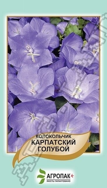 Дзвіночок Карпатський блакитний - 0,1 гр А Дзвіночок Карпатський блакитний - 0,1 гр А