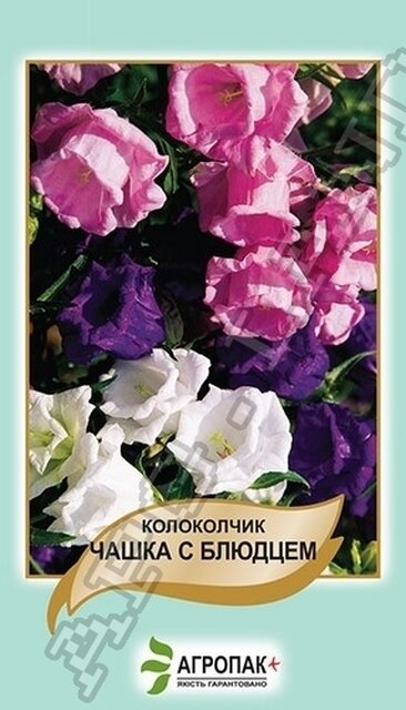 Дзвіночок середній Чашка з блюдцем, суміш - 0,1 г А Дзвіночок середній Чашка з блюдцем, суміш - 0,1 г А