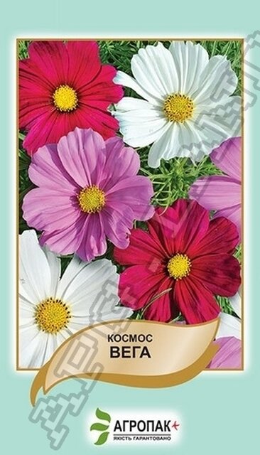 Космос Вега, суміш – 0,5 грам Космос Вега, суміш – 0,5 грам