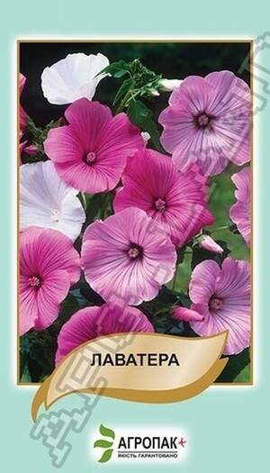 Лаватера, суміш – 0,5 г А Лаватера, суміш – 0,5 г А