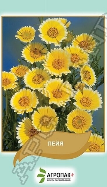 Лейя витончена – 0,2 г А Лейя витончена – 0,2 г А