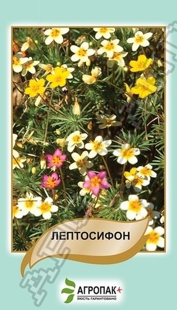 Лептосифон, суміш – 0,1 г А Лептосифон, суміш – 0,1 г А