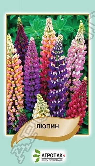 Люпин багатолистий, суміш – 1 г А Люпин багатолистий, суміш – 1 г А