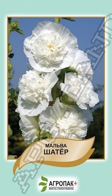 Мальва Шатер, біла – 0,3 грама А Мальва Шатер, біла – 0,3 грама А