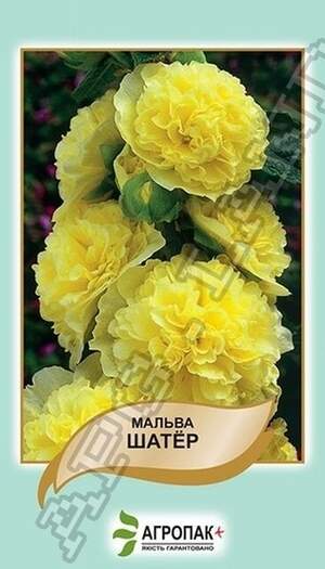 Мальва Шатер, жовта – 0,3 г А Мальва Шатер, жовта – 0,3 г А