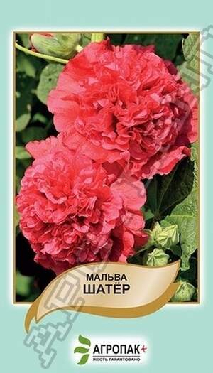 Мальва Шатер, кармінова – 0,3 грама А Мальва Шатер, кармінова – 0,3 грама А