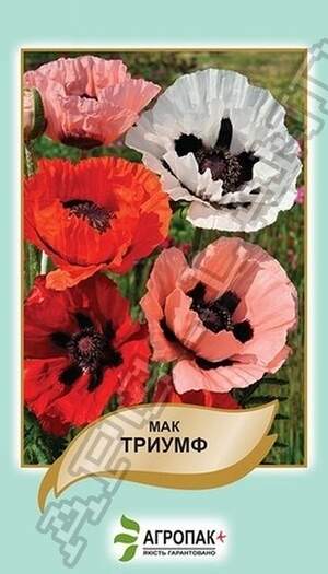 Мак східний Тріумф – 0,1 г А Мак східний Тріумф – 0,1 г А