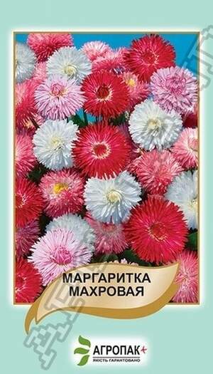 Маргаритка махрова, суміш – 0,1 грам Маргаритка махрова, суміш – 0,1 грам