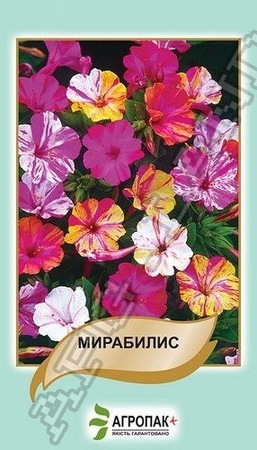 Мірабіліс, суміш – 2 грами Мірабіліс, суміш – 2 грами