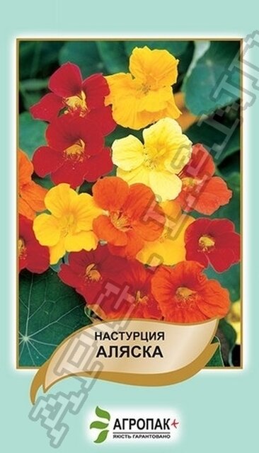 Настурція Аляска, суміш – 2 г А Настурція Аляска, суміш – 2 г А