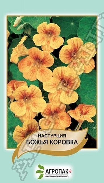 Настурція Сонечко - 2 г А Настурція Сонечко - 2 г А