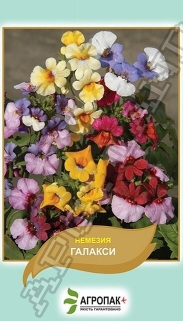 Немезія Галаксі - 0,1 г А Немезія Галаксі - 0,1 г А