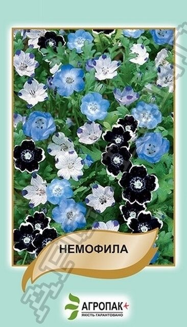 Немофілу, суміш - 0,2 г А Немофілу, суміш - 0,2 г А