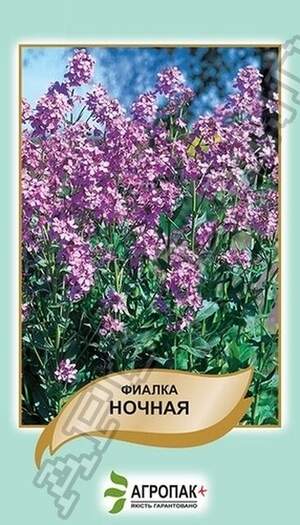 Нічна фіалка, суміш – 0,5 грам, А Нічна фіалка, суміш – 0,5 грам, А