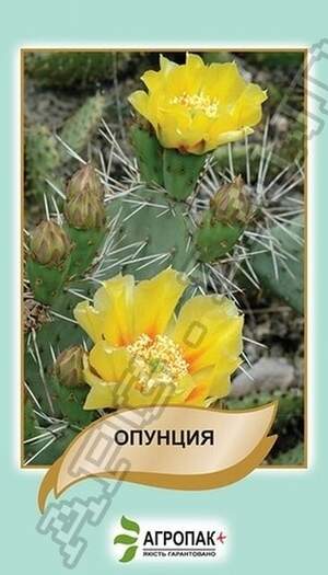 Опунція – 5 насіння А Опунція – 5 насіння А