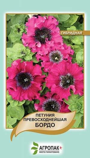 Петунія гібридна чудова Бордо - 20 насінин, А