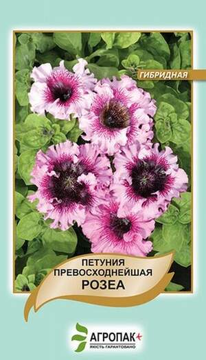 Петунія гібридна чудова Розеа - 20 насінин, А