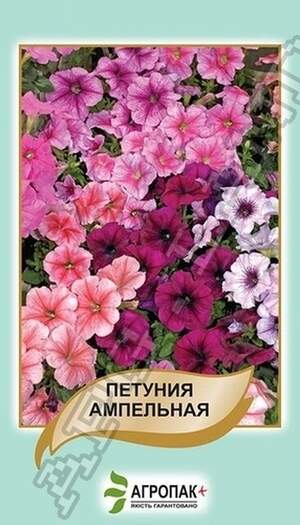 Петунія ампельня, суміш - 50 насінин, А Петунія ампельня, суміш - 50 насінин, А