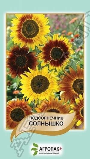 Соняшник декоративний Сонечко, суміш - 0,5 грам, А