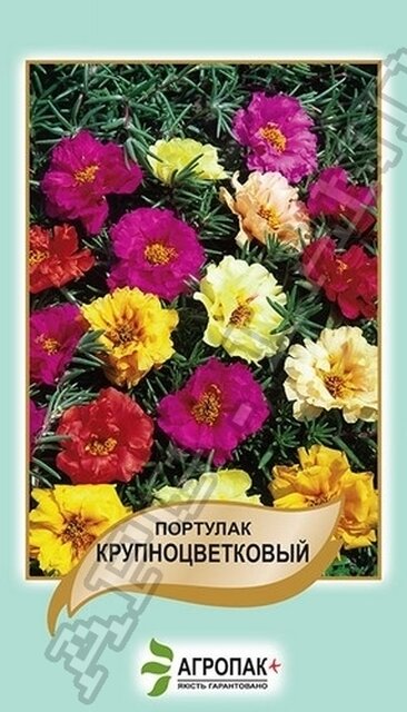 Портулак крупноквіткова суміш - 0,1 грам, А Портулак крупноквіткова суміш - 0,1 грам, А