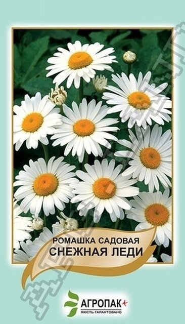 Ромашка садова Снігова Леді - 0,5 грам Ромашка садова Снігова Леді - 0,5 грам